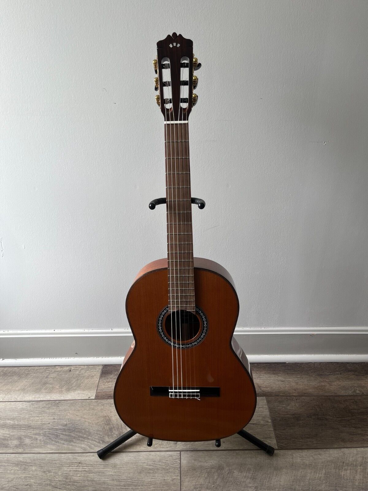 Cordoba C10 Parlor - Solid Cedar Top - Parlor (⅞ Size)  Classical Guitar