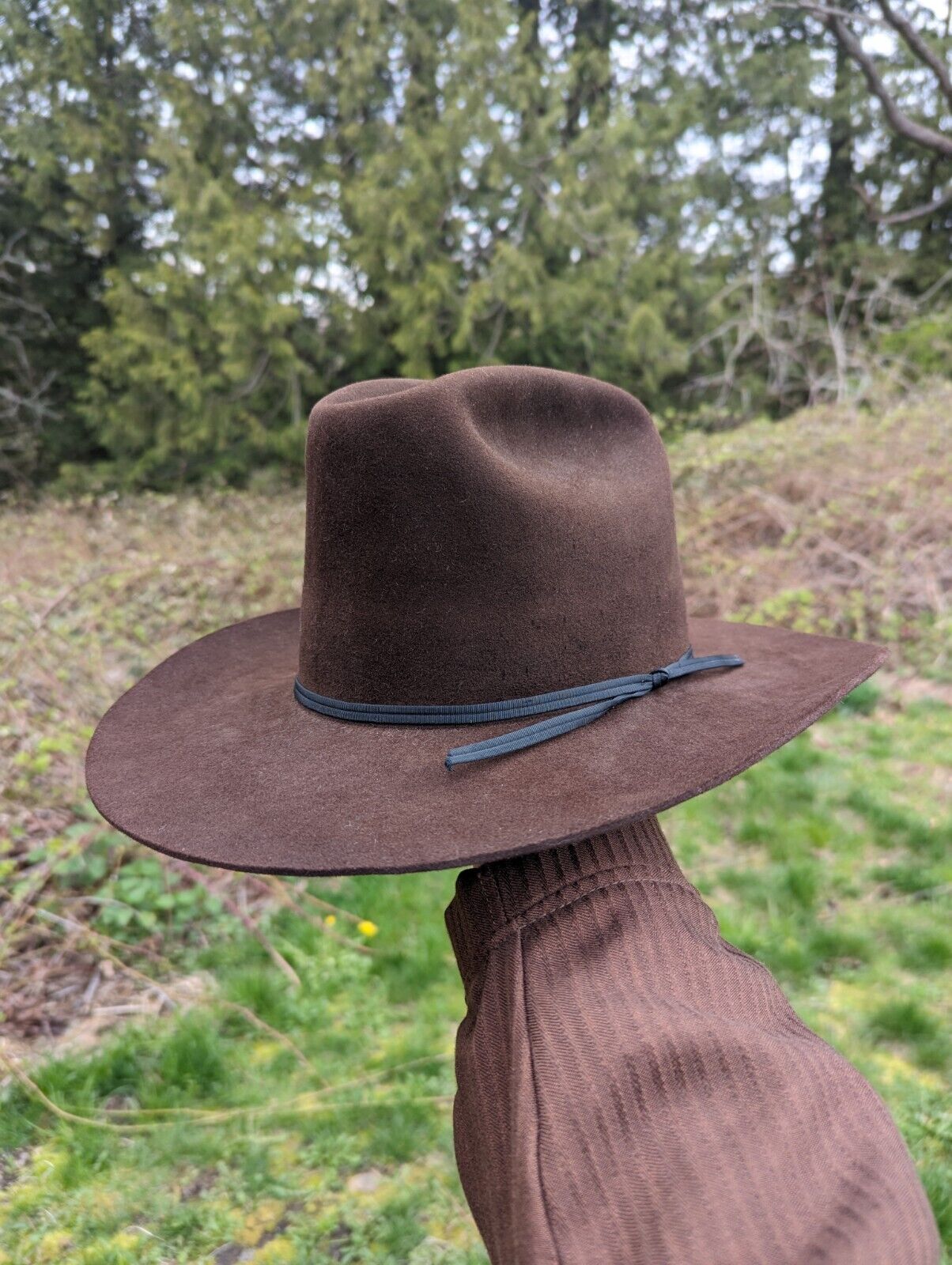 Brown Resistol 3x Beaver Vintage Cowboy Hat Hand Creased 60s