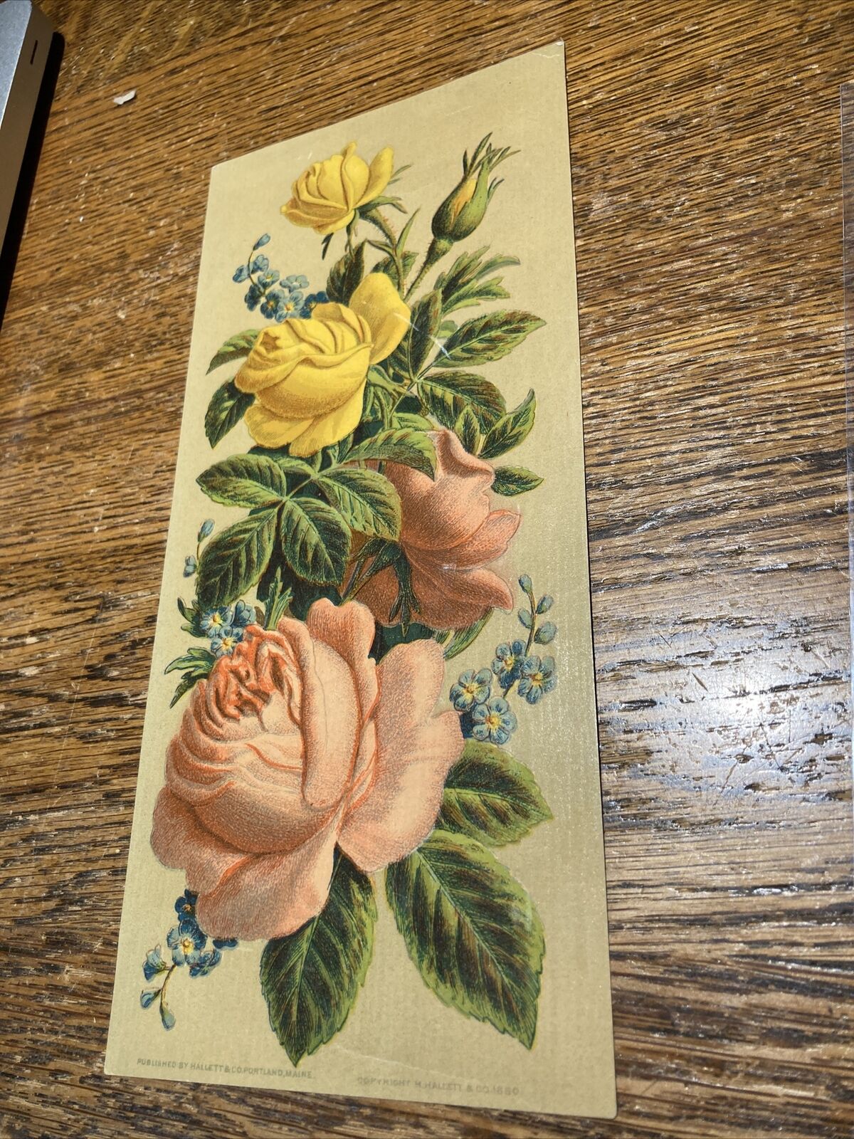 H. Hallett & Co Victorian Trade Card