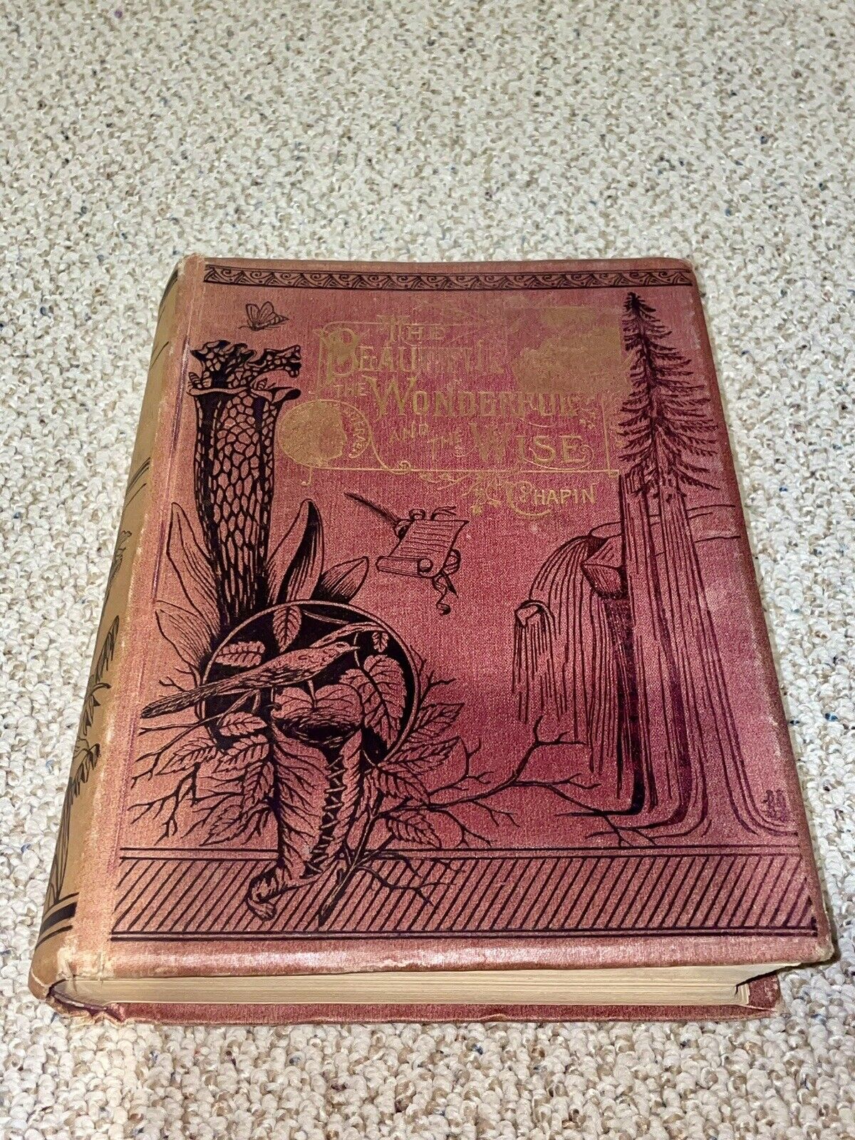 Antique 1885 Beautiful Wonderful Wise Poetic Literature Science Book by Chapin