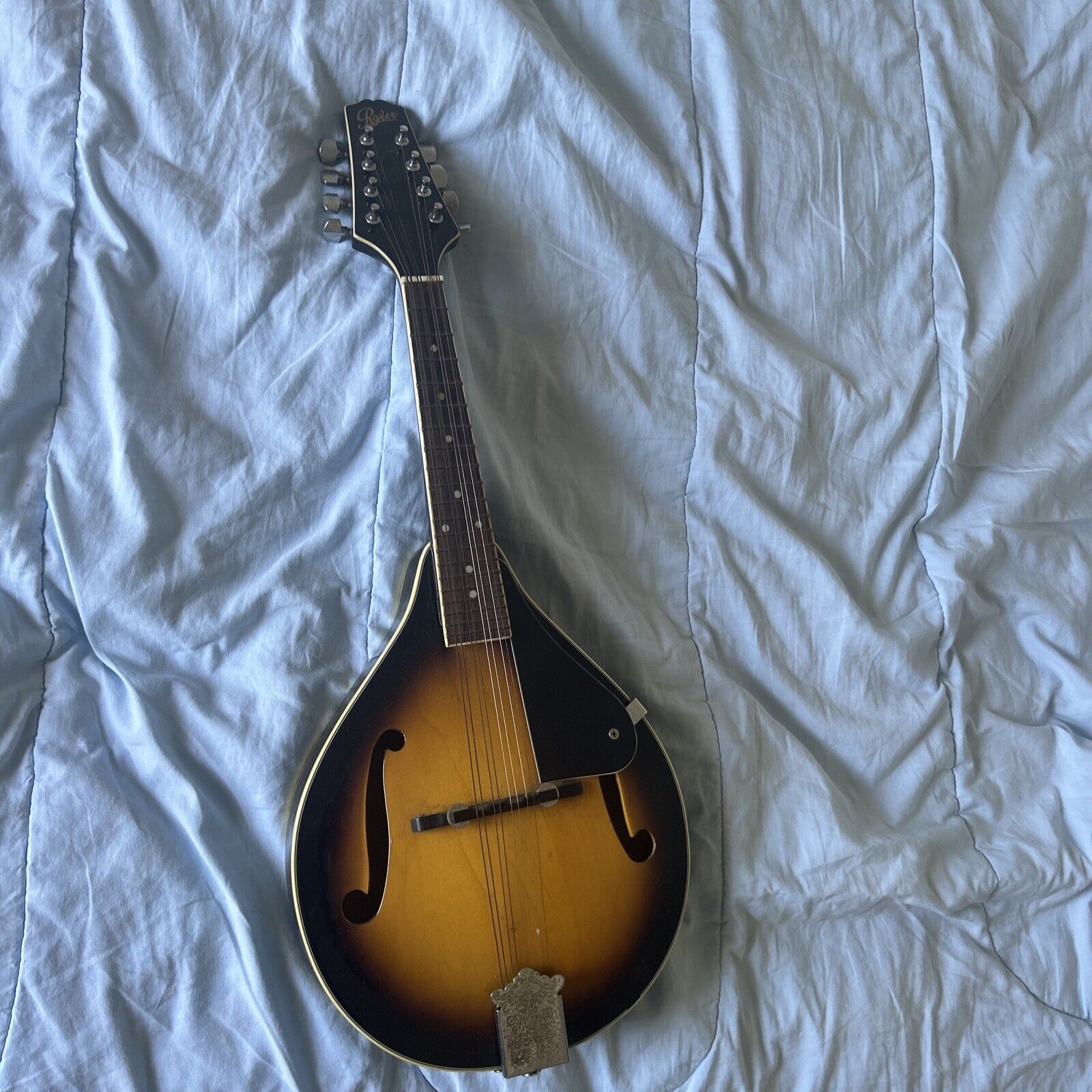 mandolins musical instrument f style