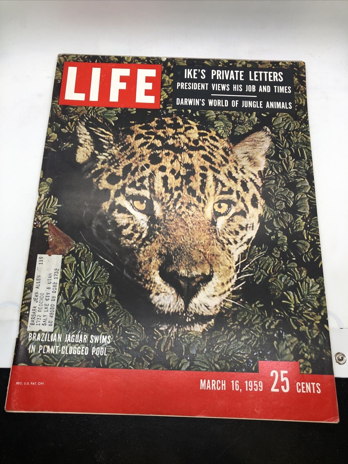 Life Magazine Cover Brazilian Jaguar Ike\'s Private Letters Mar 16, 1959 Darwin