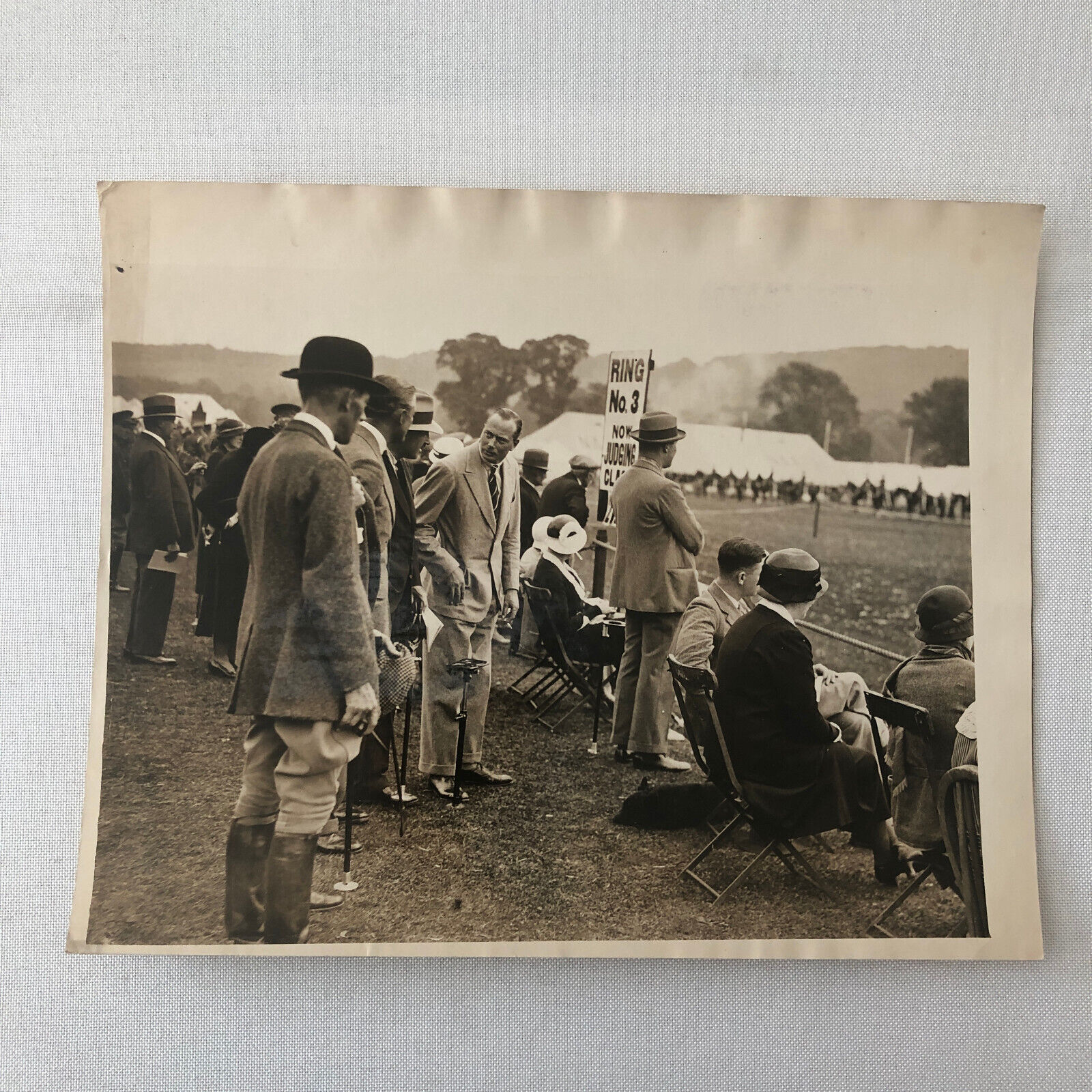 Vintage Press Photo Photograph Horse Show Tidworth London Duke of Gloucester