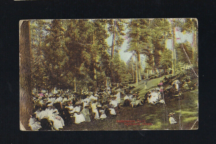 c.1911 Natatorium Park Spokane Washington WA Postcard POSTED