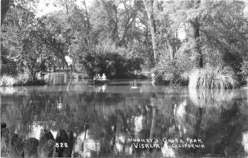 Visalia California Mooney's Grove Park #828 1940s RPPC Photo Postcard 21-11862