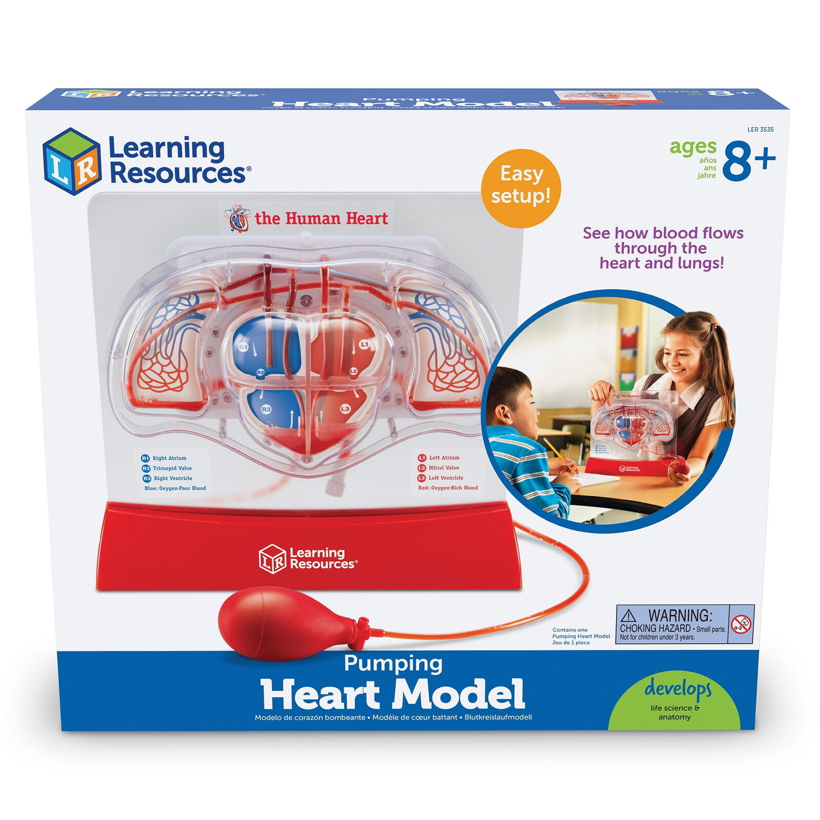 Pumping Heart Model - 1 Piece, Grades 3+ | Ages 8+ Educational Science Kit,