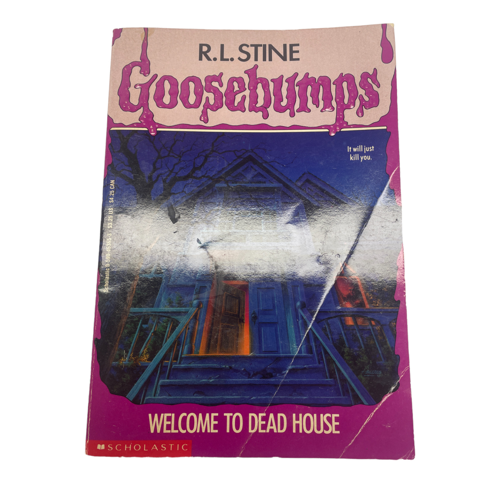 R.L. Stine Goosebumps Book Series You Pick Choose Vintage Original OG