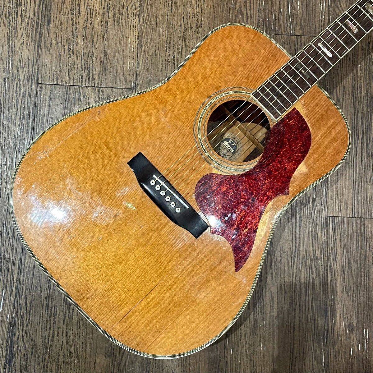 Morris Acoustic Guitar W-50 TF Morris Jacaranda Spruce Mahogany Rosewood