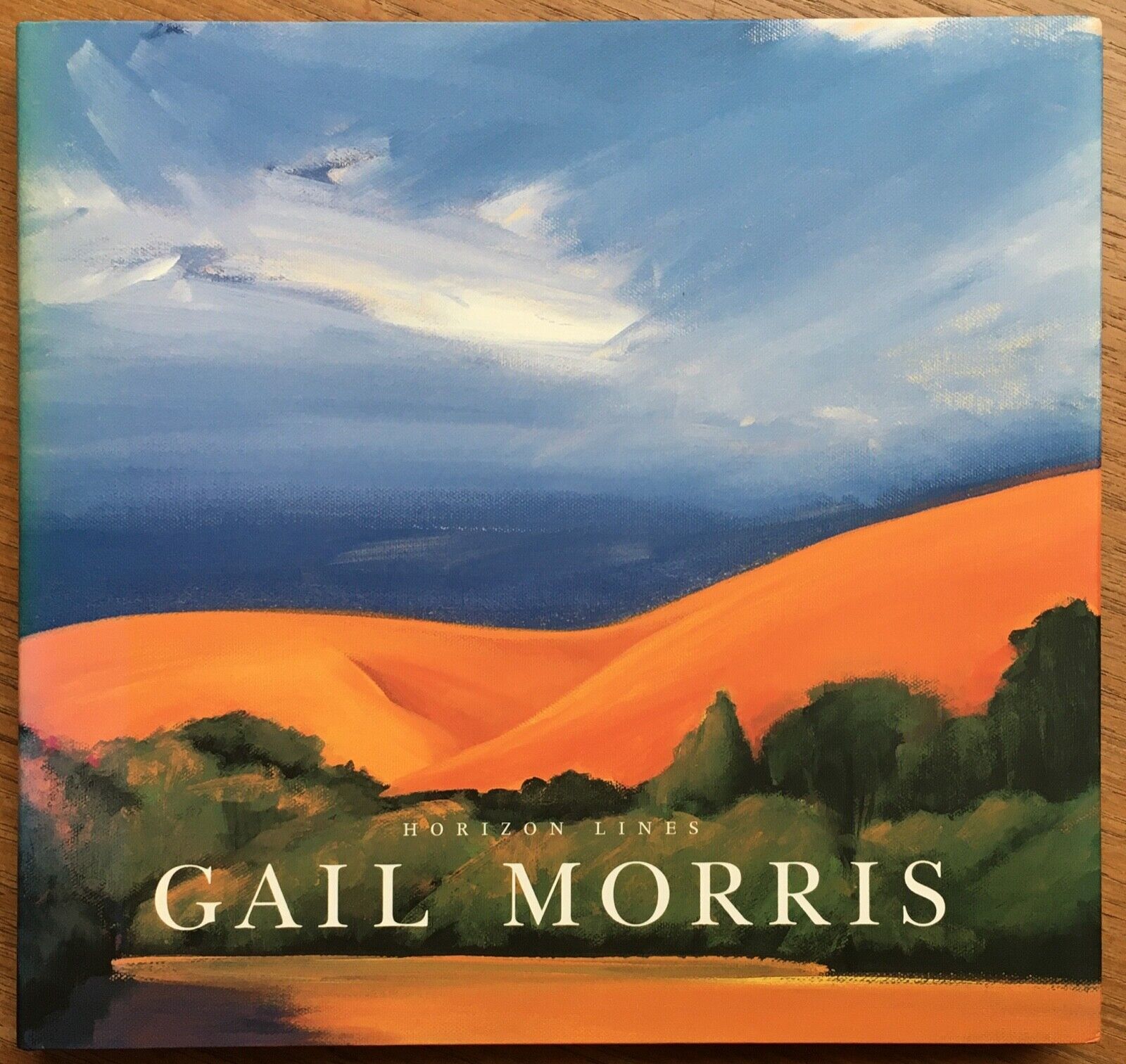 Horizon Lines: The Paintings of Gail Morris by Gail Morris (2003, HC/DJ)