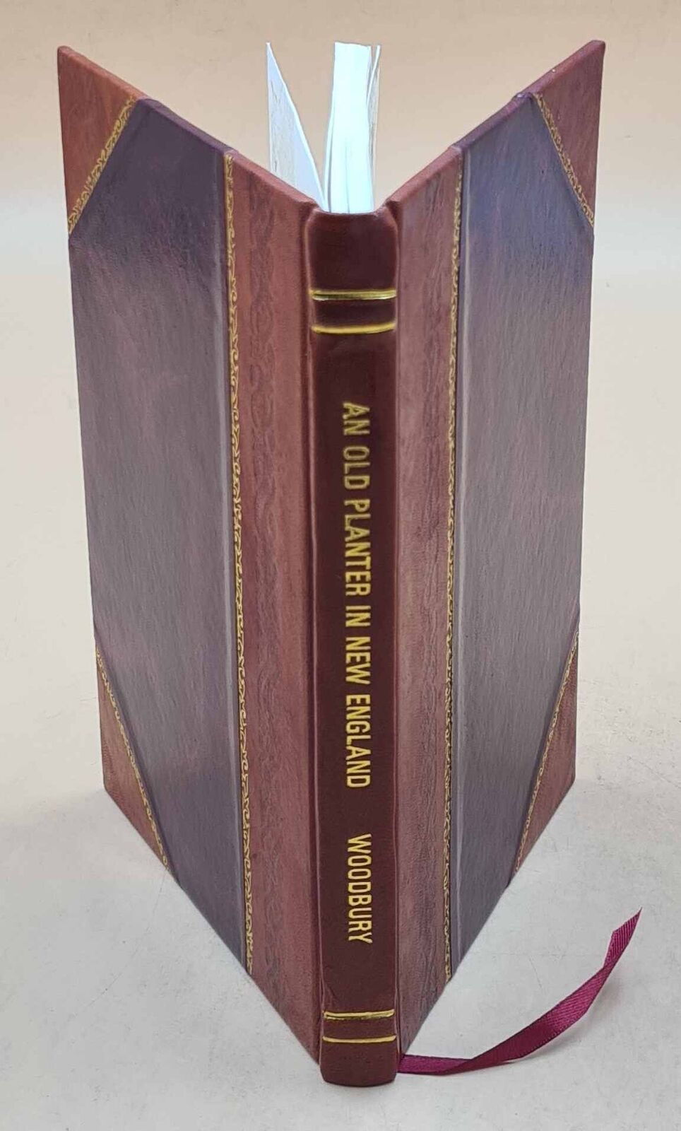 An old planter in New England : John Woodbury. 1885 by Woodbury, [Leather Bound]