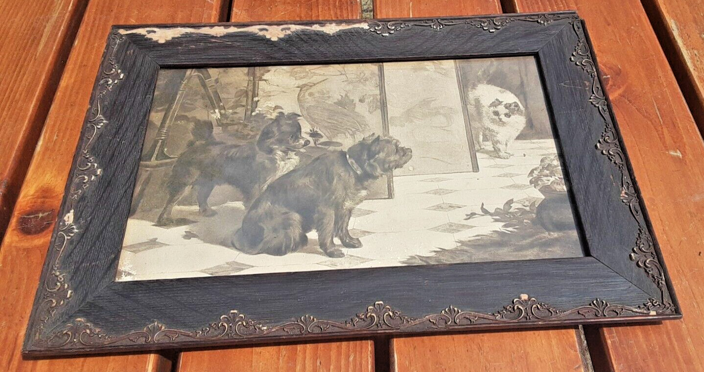 Antique Framed black/white print Framed Van Den eycken Terrier Dog Kitten AS IS
