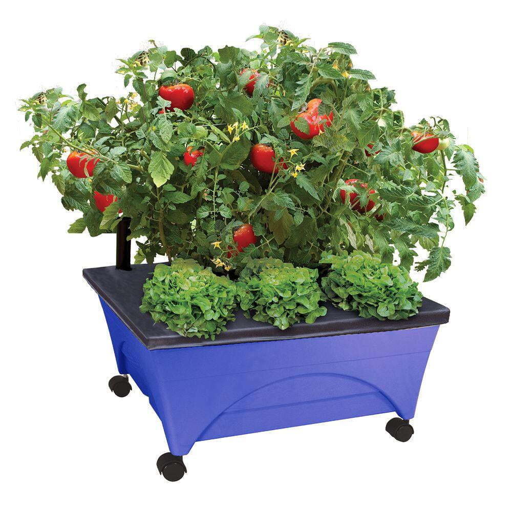 Raised Bed Grow Box – Self Watering and Improved Aeration – Mobile with Casters