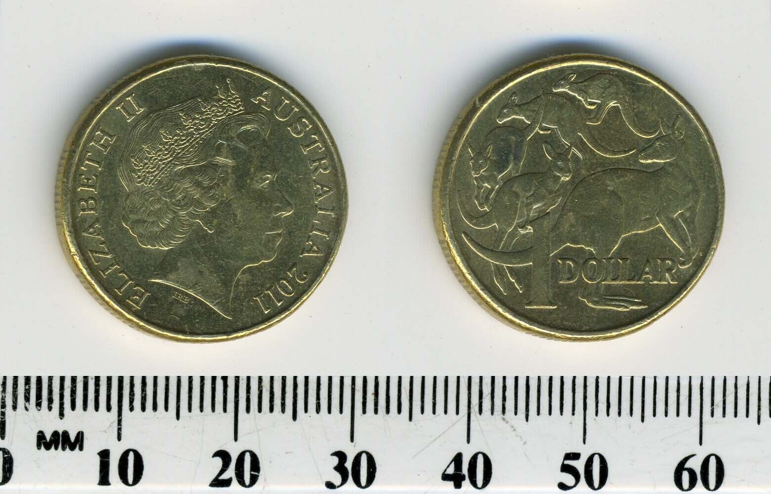 Australia 2011 - 1 Dollar Aluminum-Bronze Coin - Elizabeth II - Kangaroos