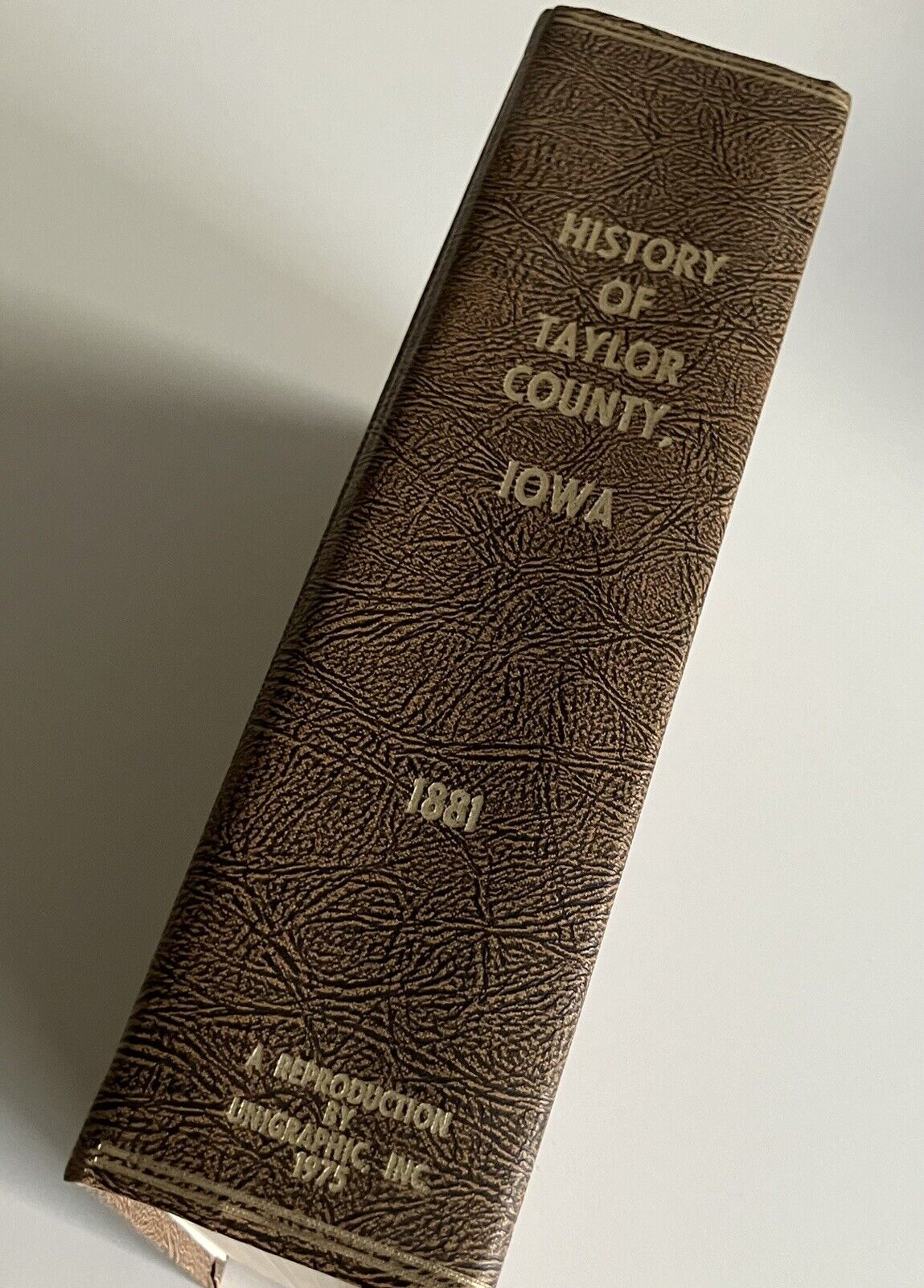 1881 History Of Taylor County Iowa Des Moines Historical Society Reproduction