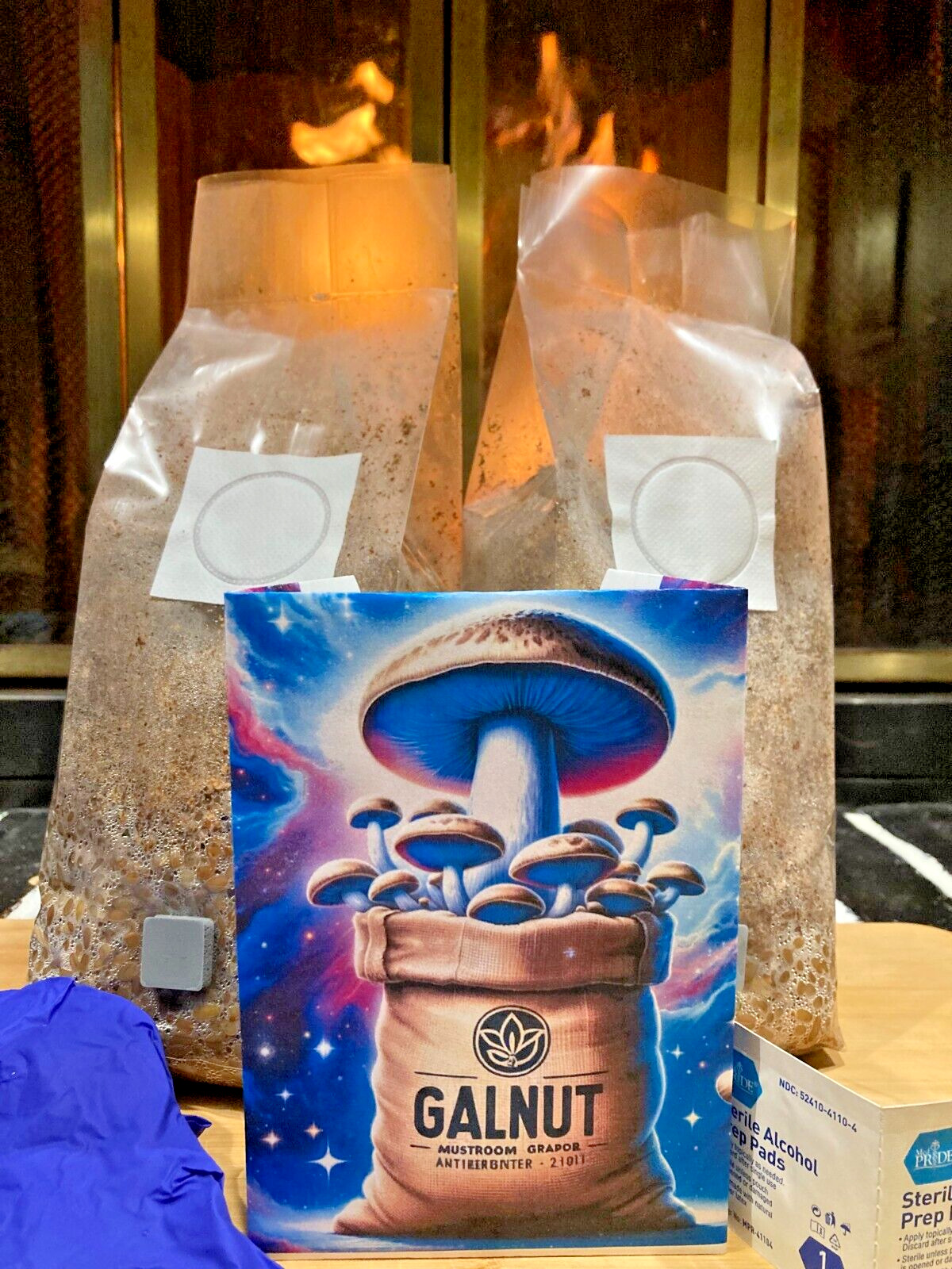 2-Pack All-in-One Mushroom Grow Bags with Exclusive EASY Galnut Grain Mix