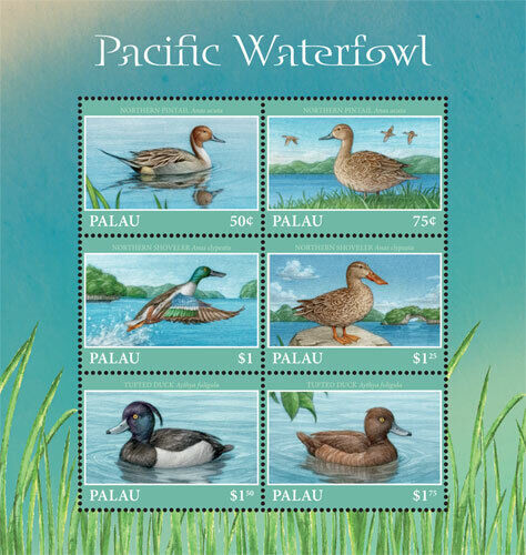 Palau 2018 - Birds Pacific Waterfowl Ducks - Sheet of 6 Stamps Scott #1413 - MNH