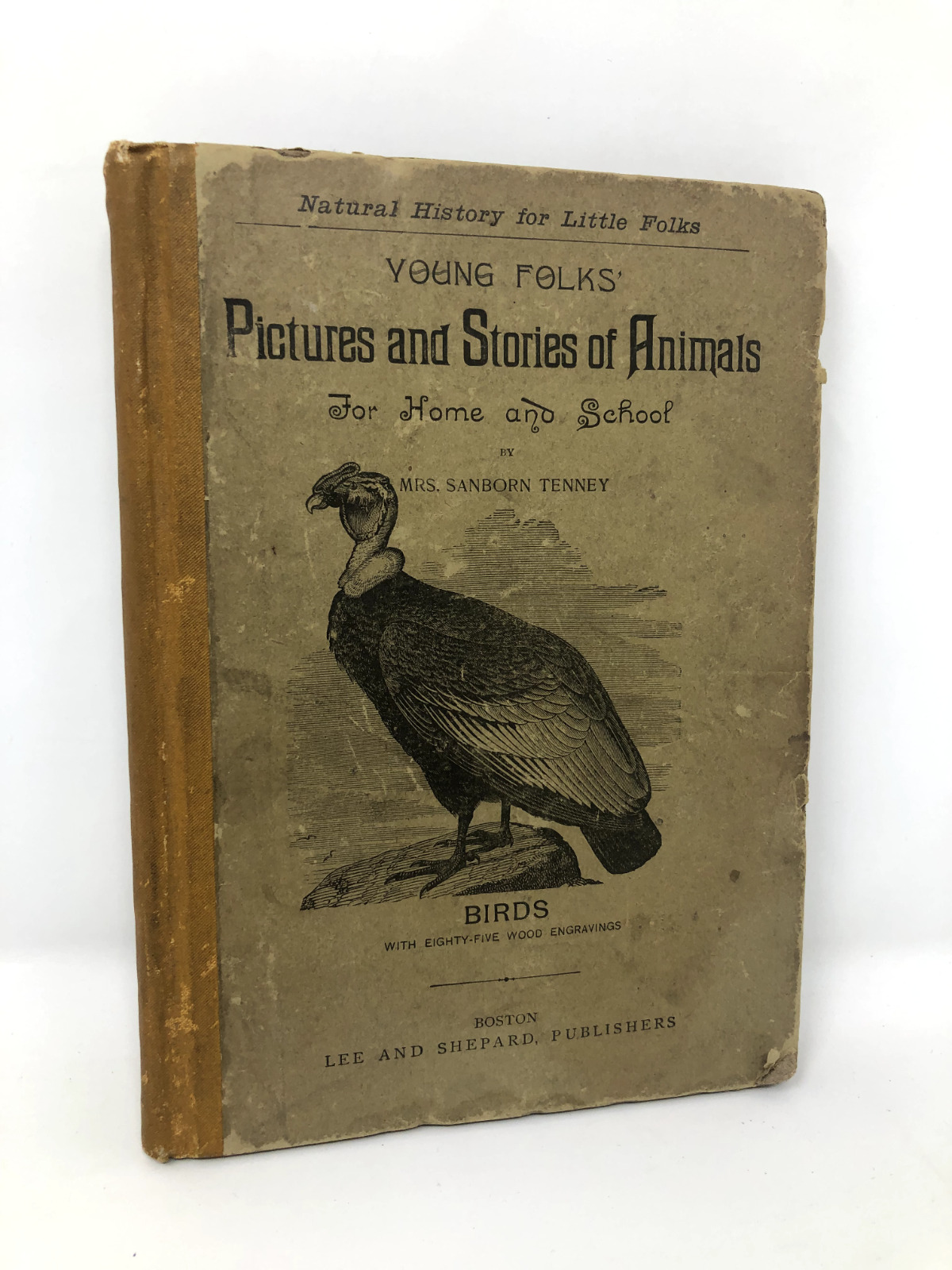 Antique Young Folks Pictures and Stories of Animals 1887 Sanborn Temey