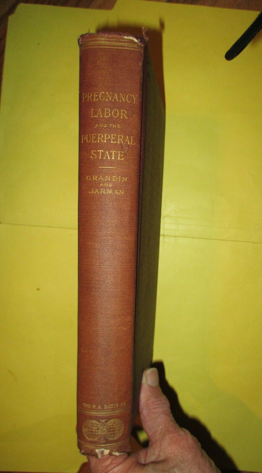 Antique Book- Pregnancy, Labor, and the Puerperal State by Grandin &Jarman 1895