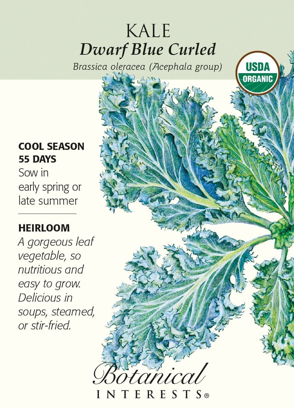 Organic Dwarf Blue Curled Kale Seeds - 1 gram - Botanical Interests