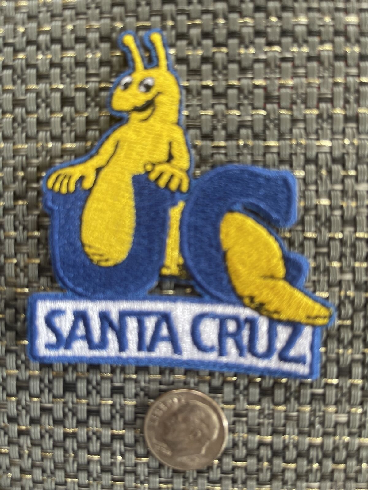 UC Santa Cruz Banana Slugs Vintage Iron On Patch 2.75” X 2.5”