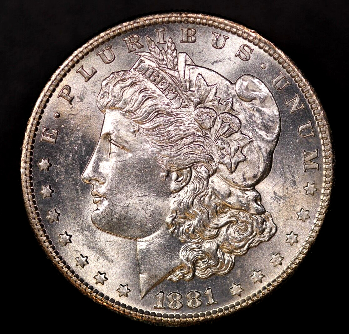 1881 S Morgan Silver Dollar Fresh from an original collection-LOT AA 7804