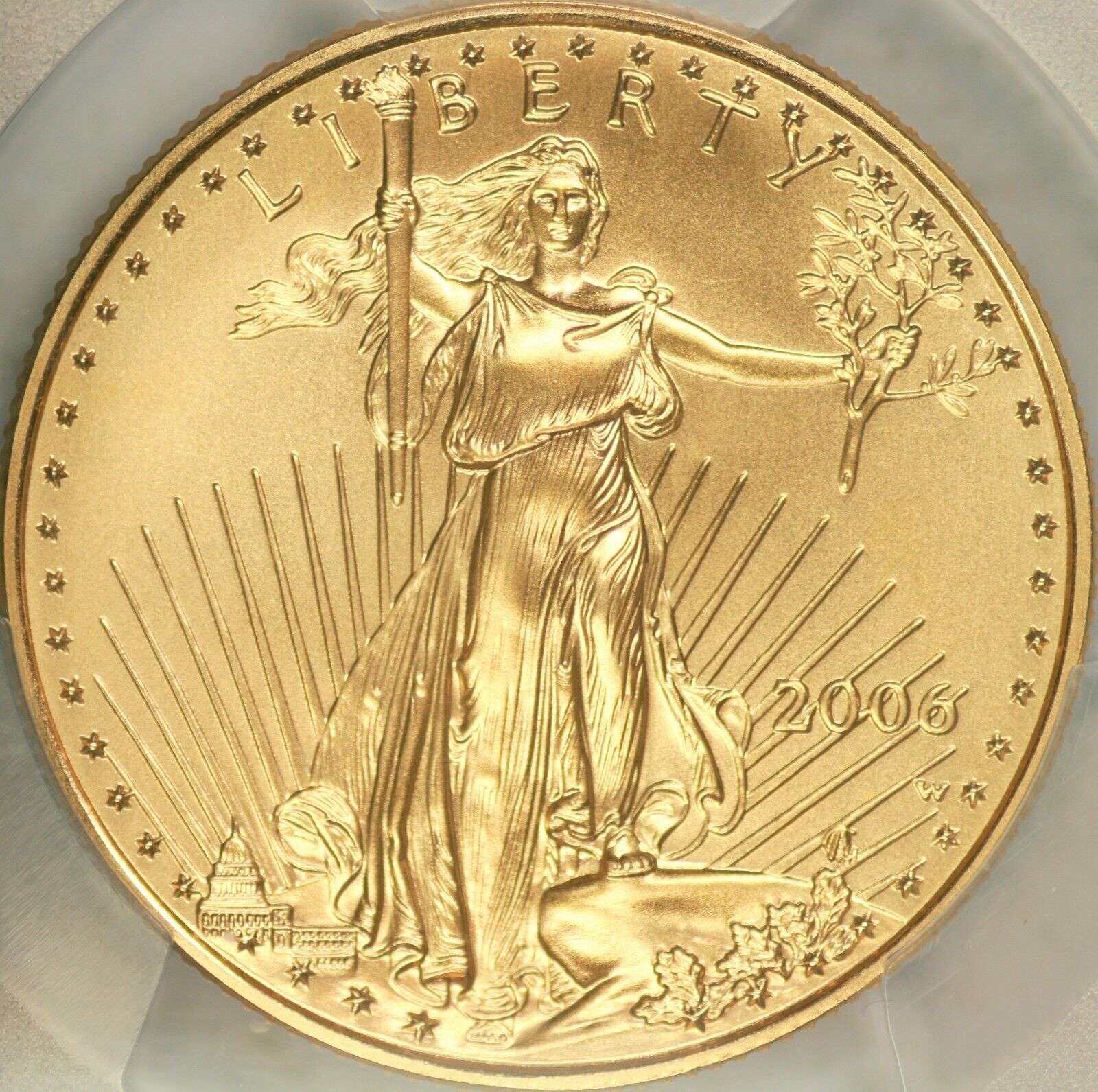 2006-W $25 Burnished Half Ounce Gold Eagle PCGS MS70