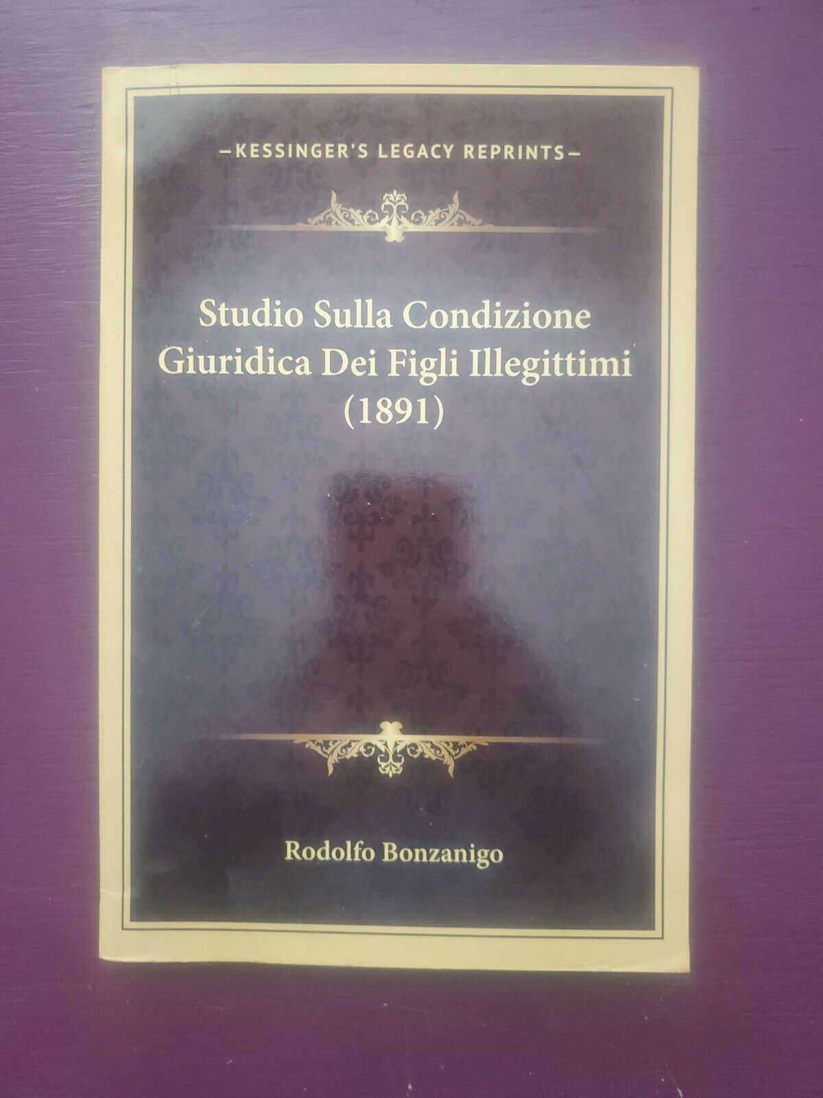 Studio Sulla Condizione Giuridica Dei Figli Illegittimi by Rodolfo Bonzanigo 