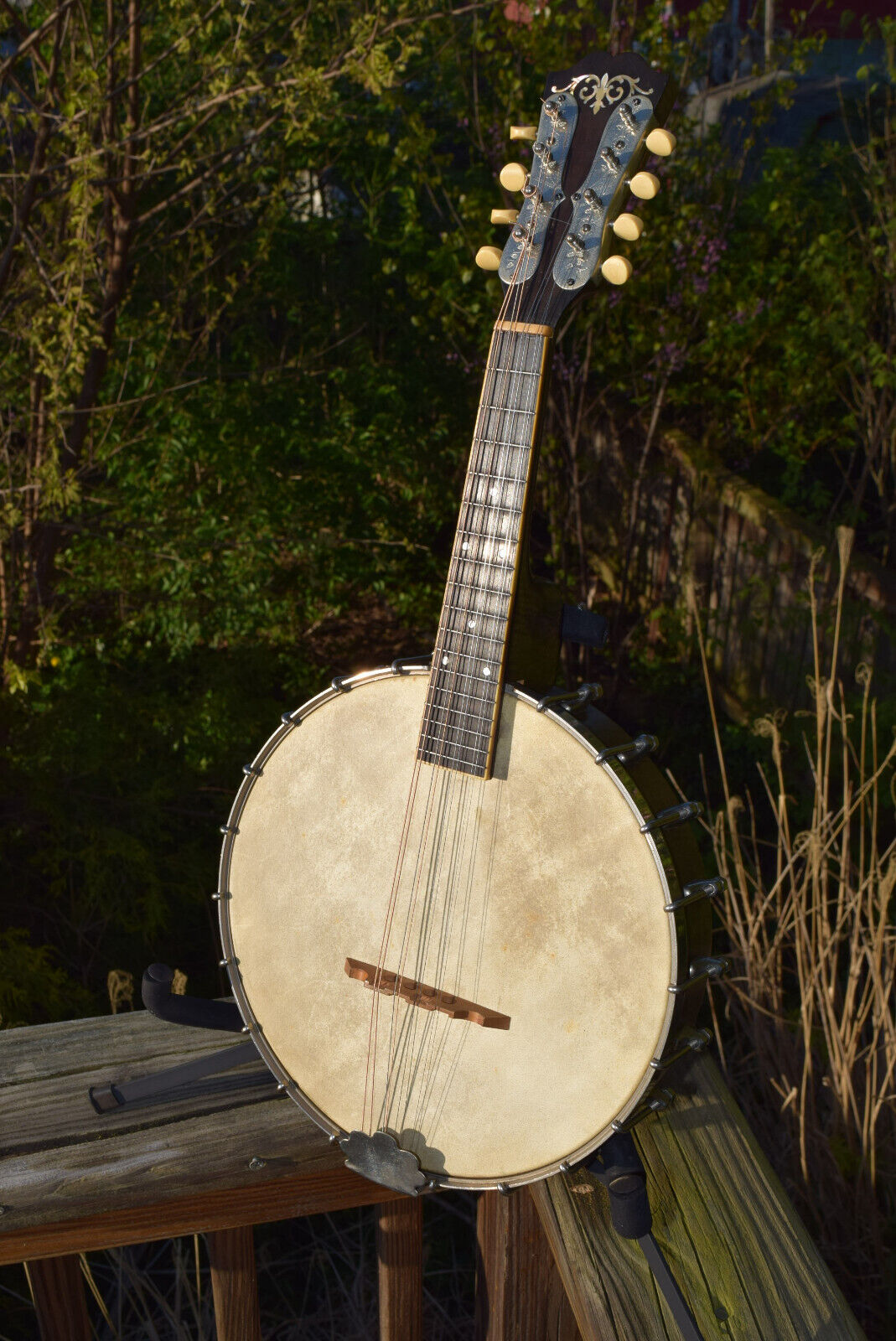 1922 Weymann & Son Style 40 Mandolin/Banjo - OHSC
