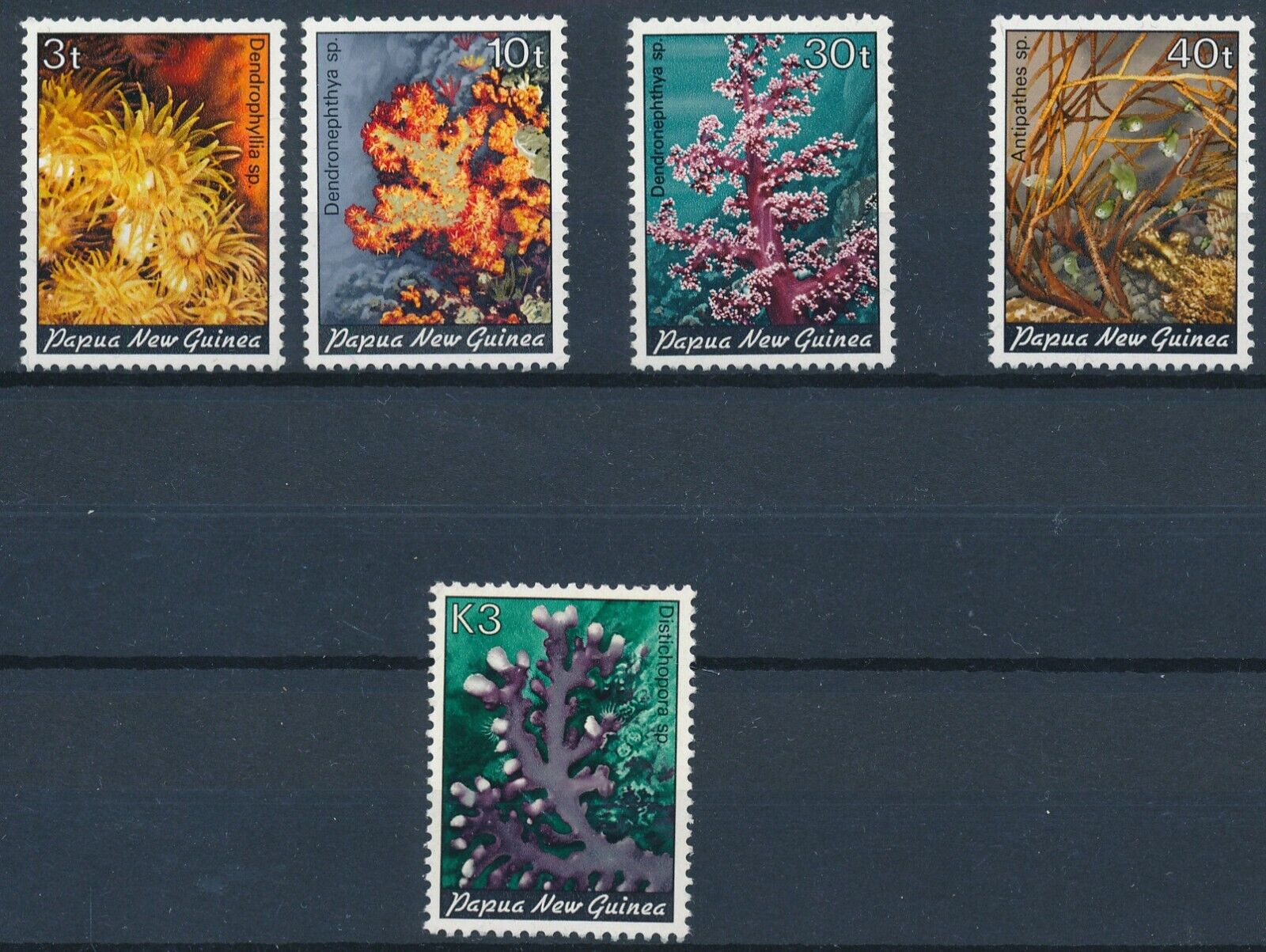 [BIN19107] Papua new Guinea 1983 Corals good set very fine MNH stamps