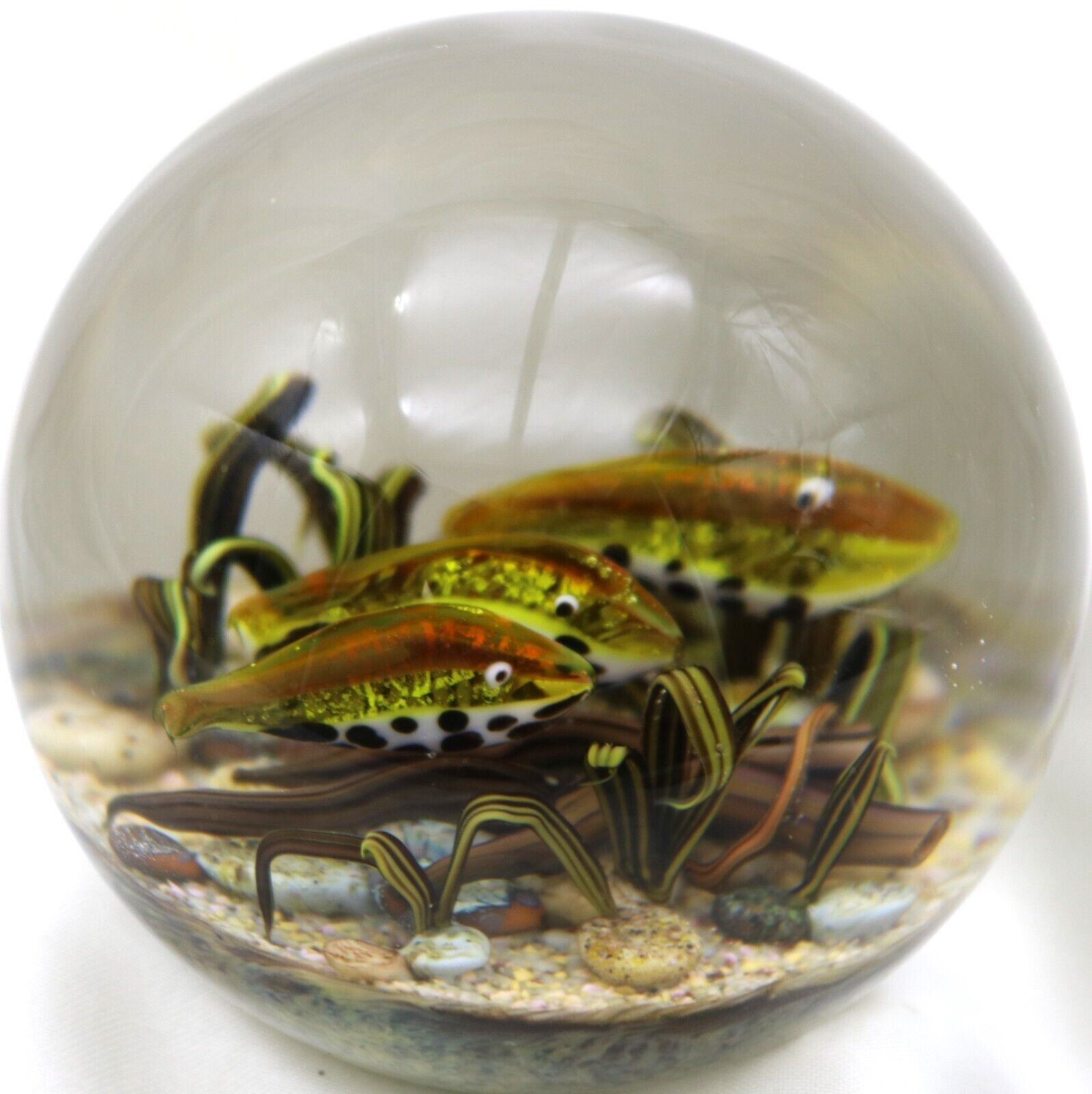 Gorgeous CATHY RICHARDSON Trout Stream Aquarium Art Glass PAPERWEIGHT