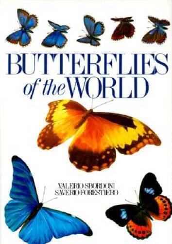 Butterflies of the World - Hardcover By Sbordoni, Valerio - GOOD