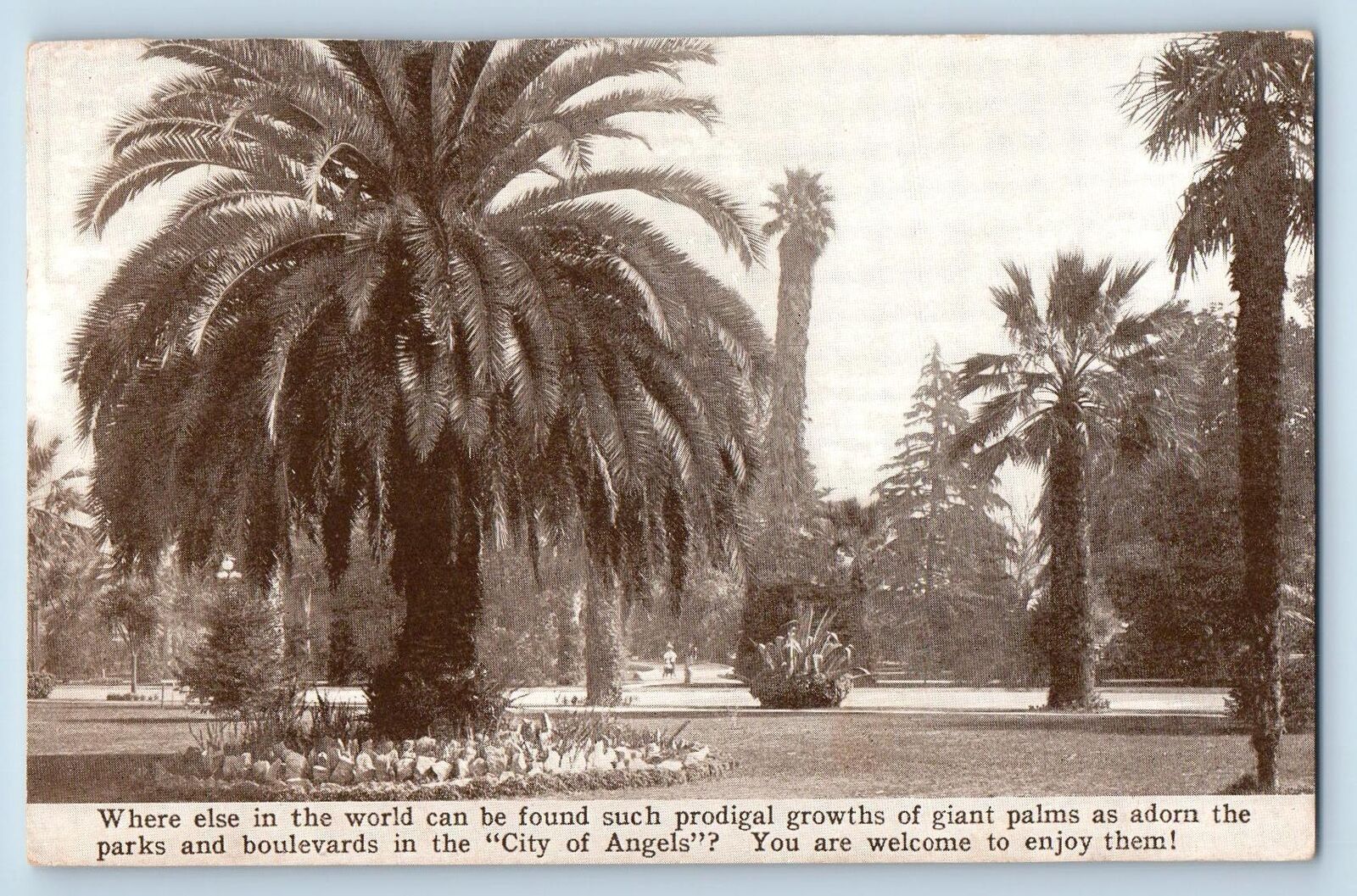 c1915 Southern Pacific Exposition San Francisco California Advertising Postcard