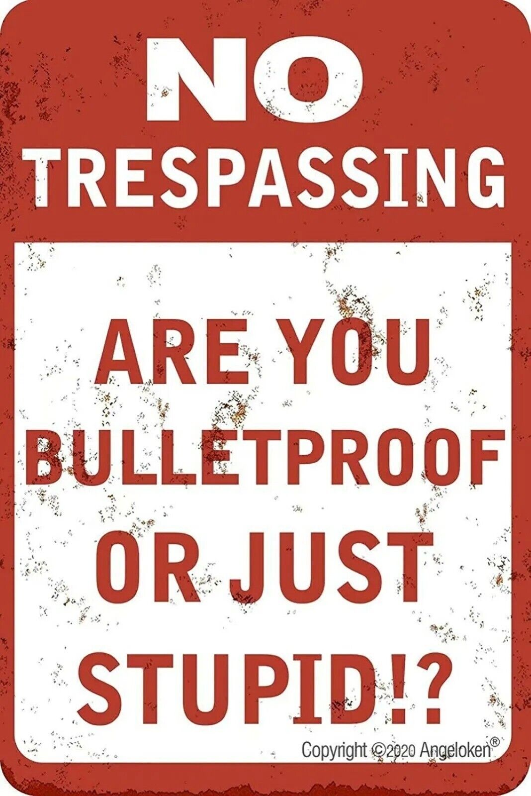 Metal Tin Sign Retro Vintage No Trespassing Are You Bulletproof or Just Stupid?
