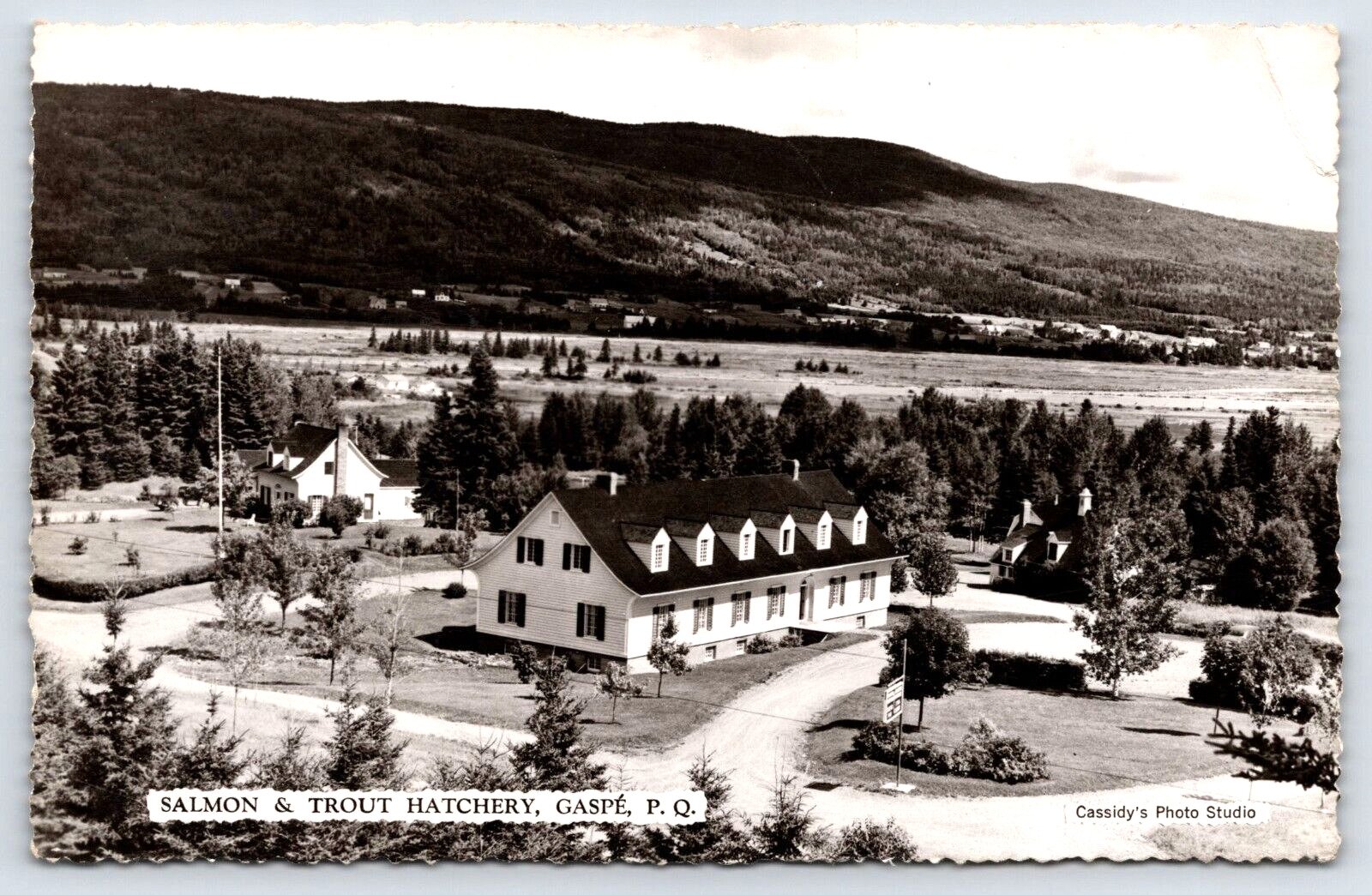 Postcard RPPC Salmon & Trout Hatchery Gaspe, P. Q. Canada Bird\' Eye View A13