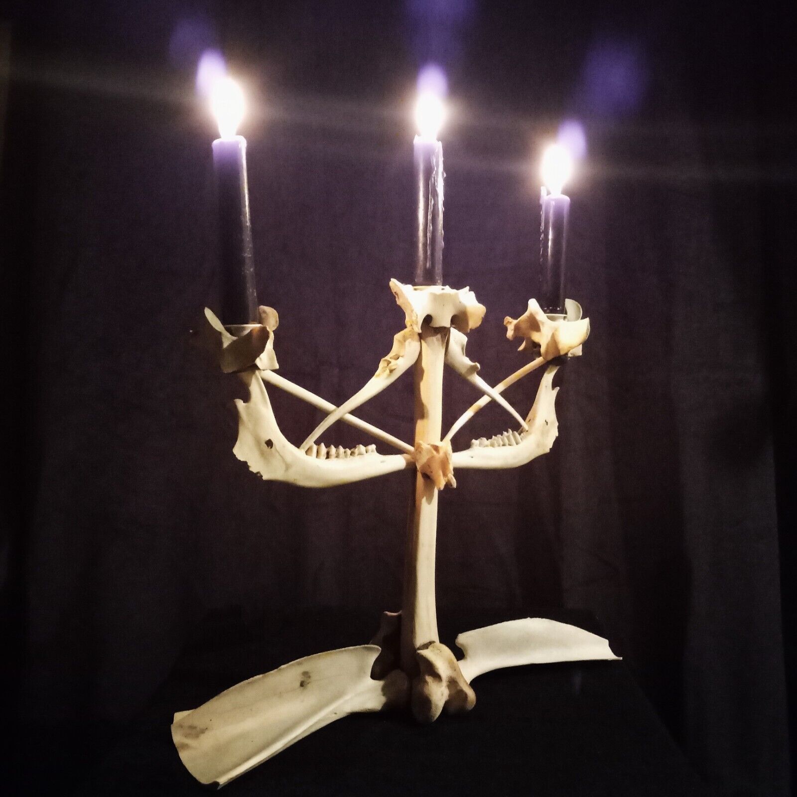Deer Bone Candelabra - Gothic Dark Occult Decor
