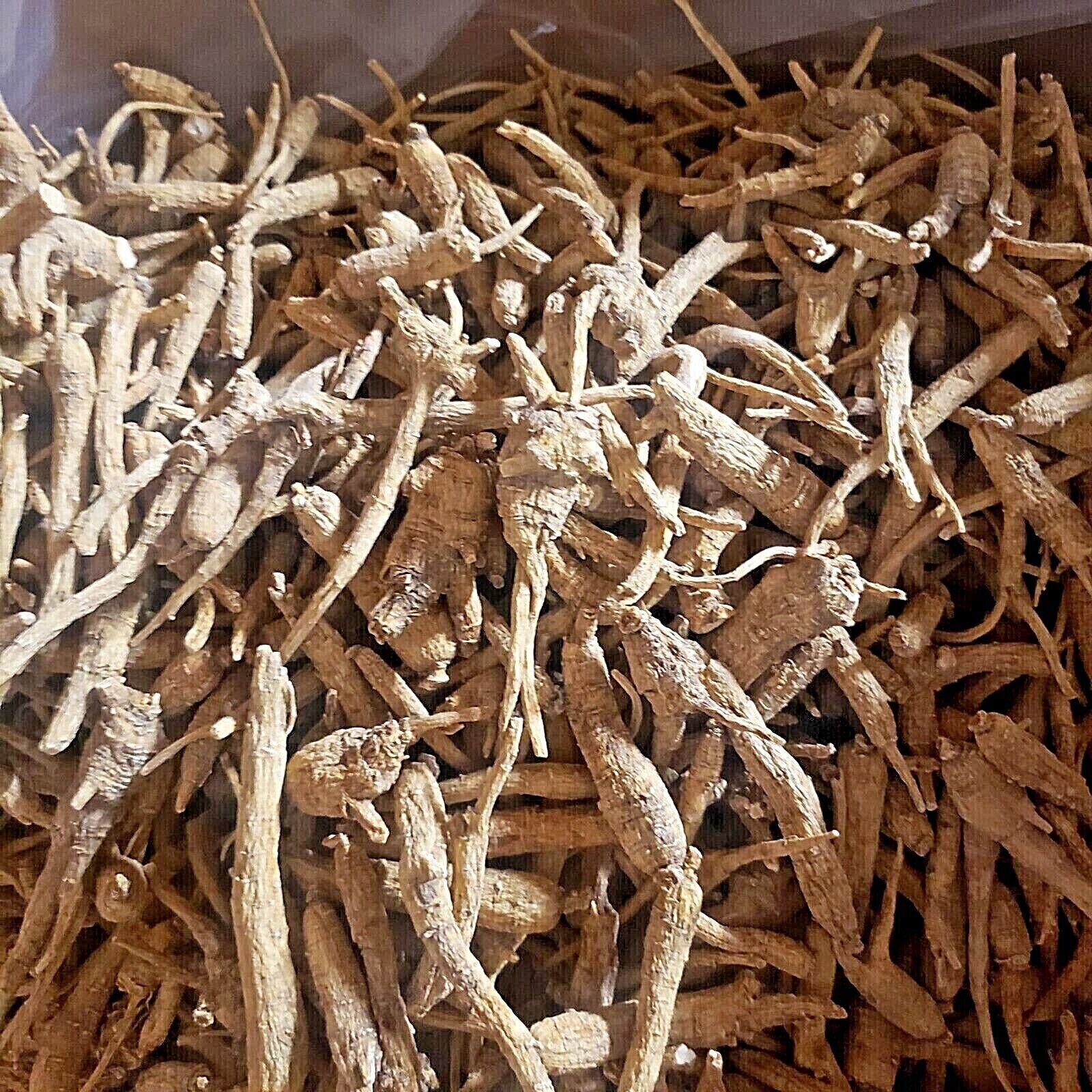 Wholesales 1 LB - 10 LB Wisconsin American Ginseng Root Wisconsin Grown 美国花旗参
