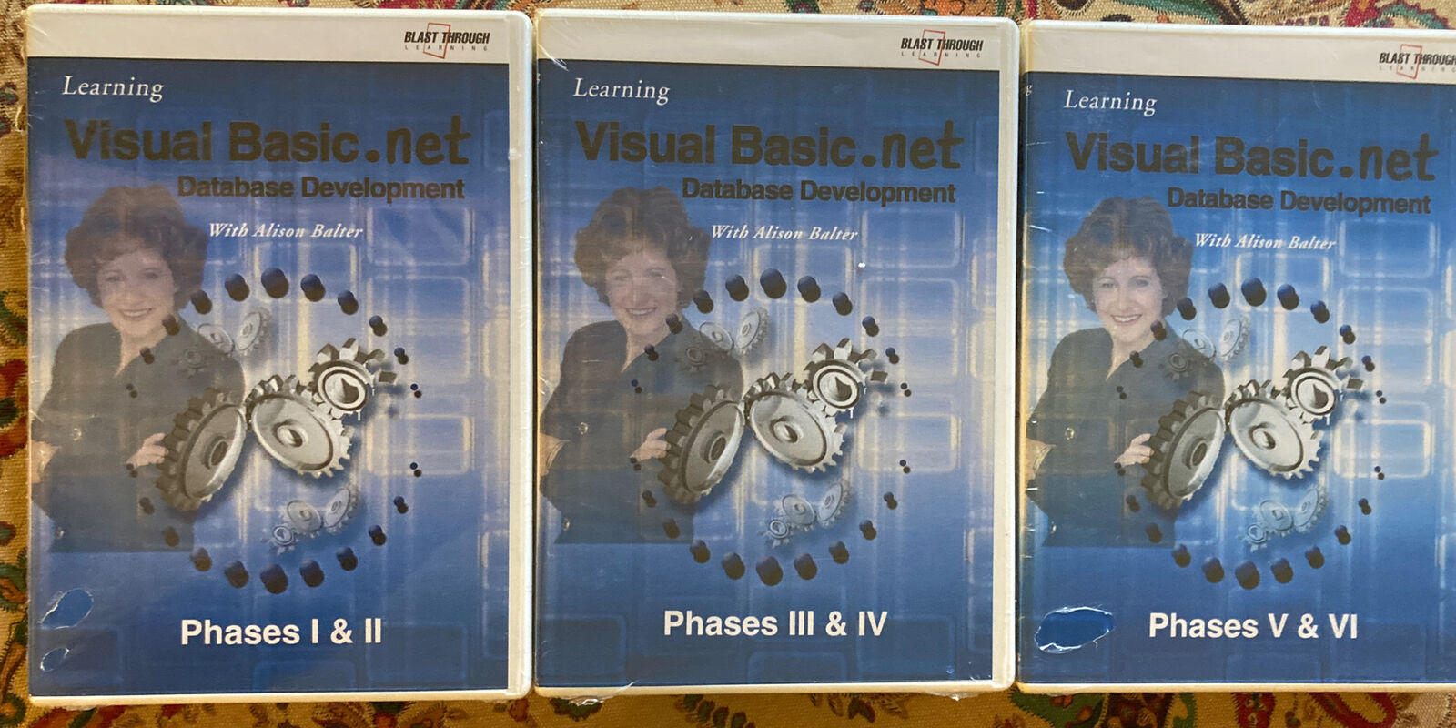 Learning Visual Basic.Net CD Desktop Development Course Phases 1-6 - Brand New