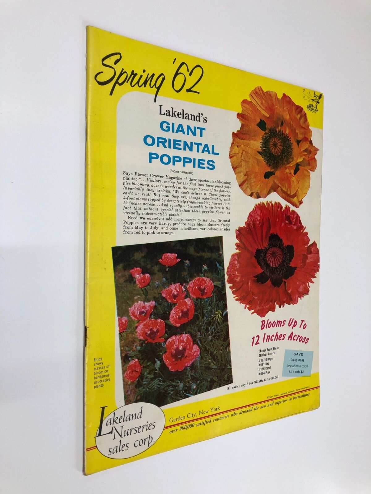 Lakeland Nuseries Vintage Spring 1962 Catalog