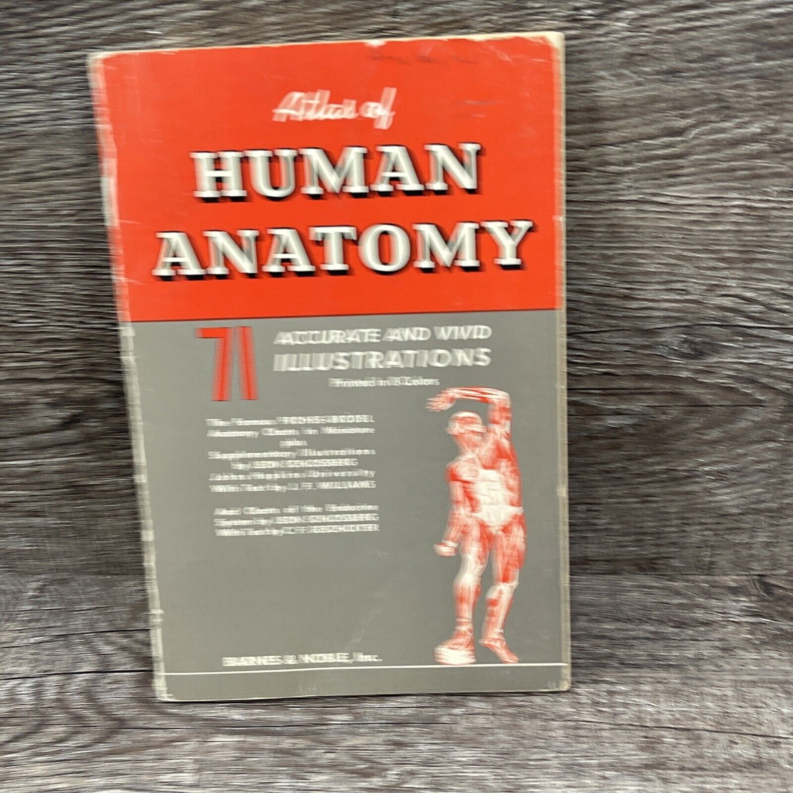 VTG 1953 Atlas of Human Anatomy Paperback Froshe-Brodel