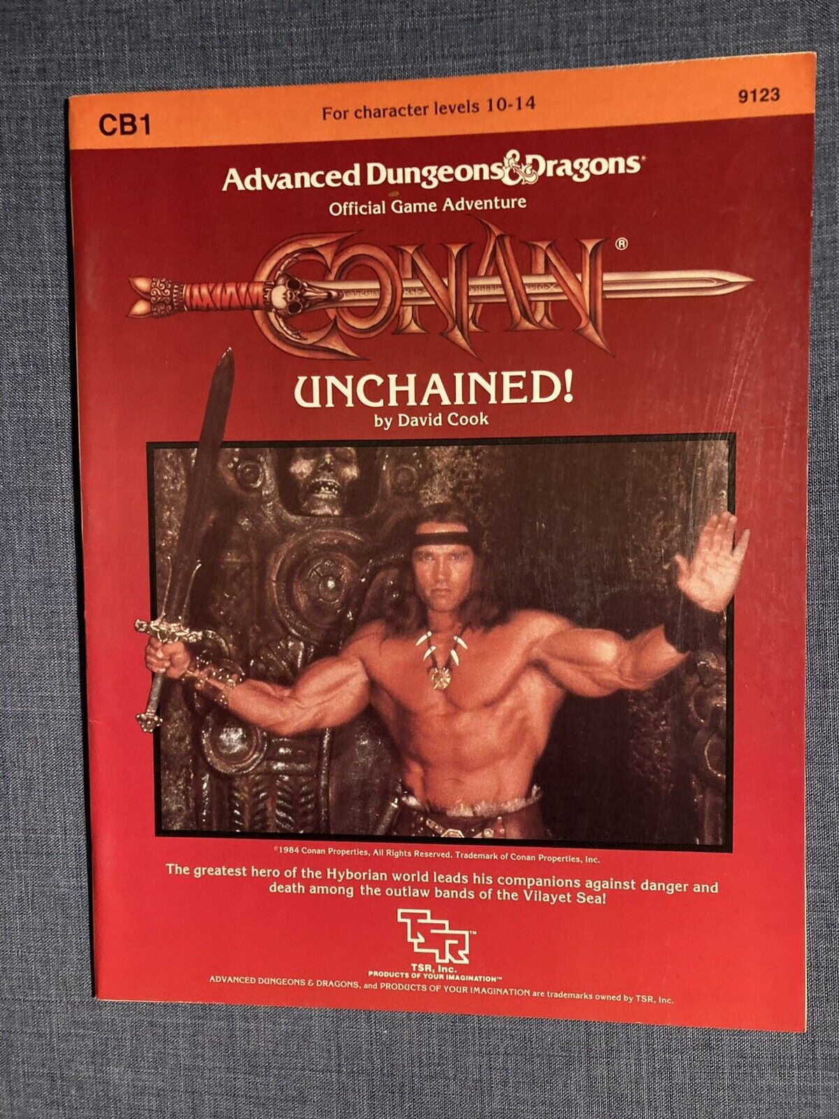 Original Advanced Dungeons & Dragons. Conan - Unchained (CB1 TSR 9123) 🗡 Mint