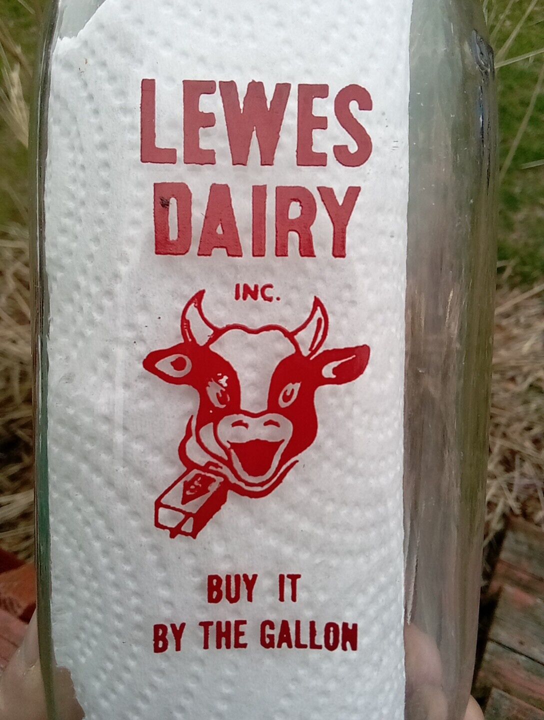 Vintage Lewes Delaware Dairy Quart Red ACL Cow Logo Farm Milk Bottle - Nice
