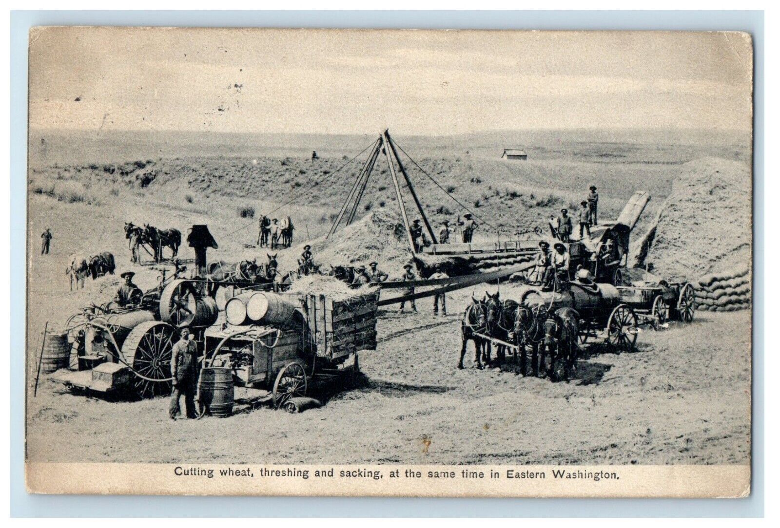 1909 Farming Threshing Wheat Tractor Water Wagon Boistfort Washington Postcard