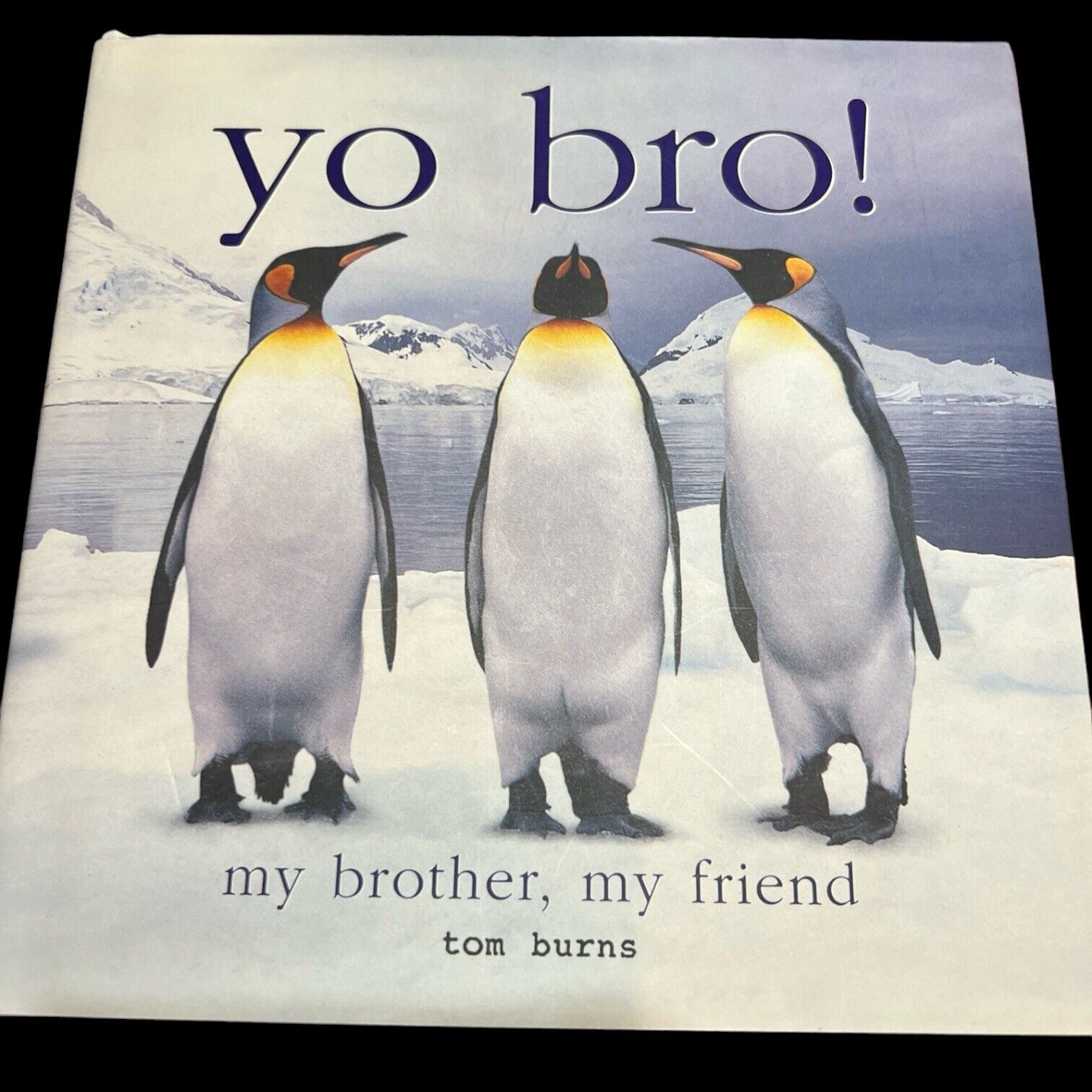 Barrons YO BRO  My Brother My Friend HC Book DJ  9780764160202 