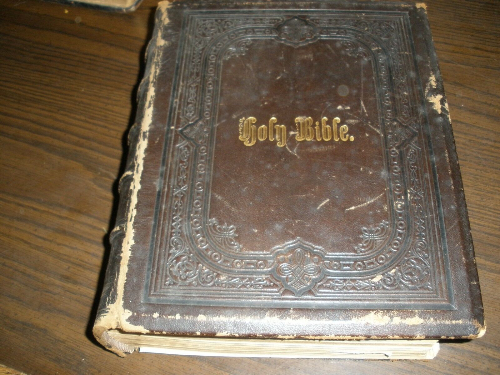 THE COMPLETE DOMESTIC BIBLE NEW & OLD TESTAMENTS HC 1873 ILLUSTRATED