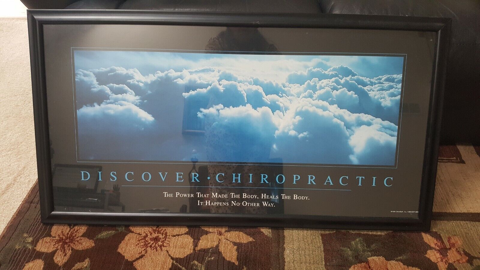 Chiropractic framed reception wall office picture height 20\