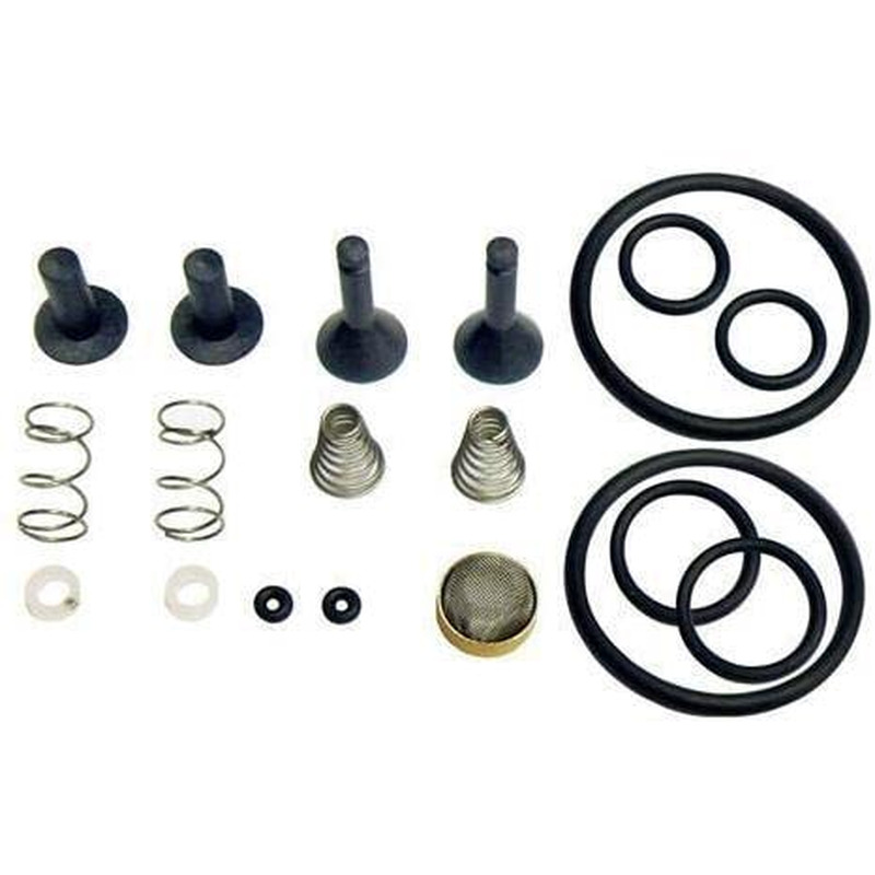 CPS Products TRS21 Valve Rebuild Kit - TR21X1 (Each)