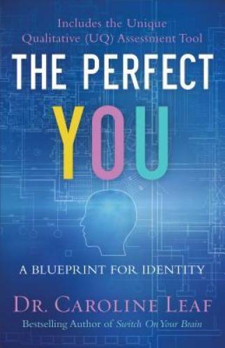 The Perfect You: A Blueprint for Identity - Hardcover - VERY GOOD