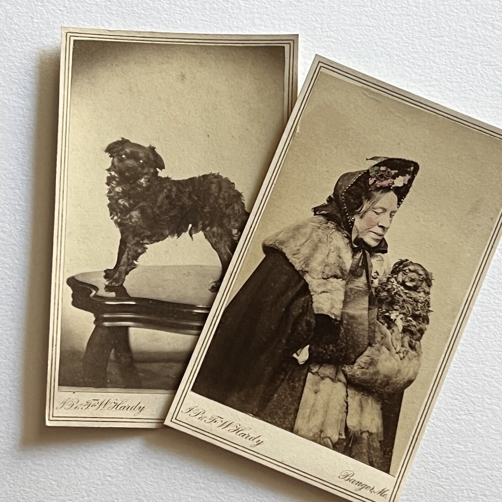 Antique CDV Photograph Fashionable Mature Woman With Dog Info & ID Bangor ME