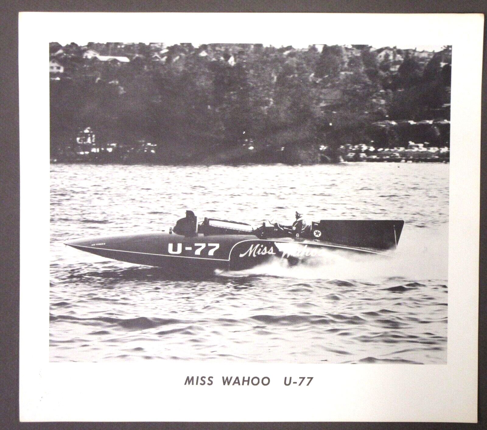 1957 Pictsweet photo MISS WAHOO U-77 Hydroplane Boat racing
