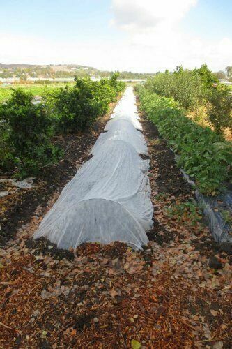 Agfabric Heavy-Duty Frosting Cloth For Flower/Vegetables Frost Protection